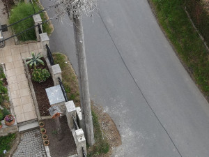 Hnízdo v Plané Karlín II. 