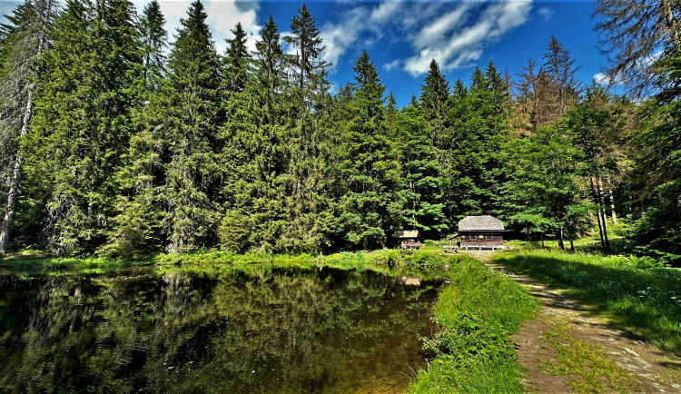 Plavební nádrž pod pralesem