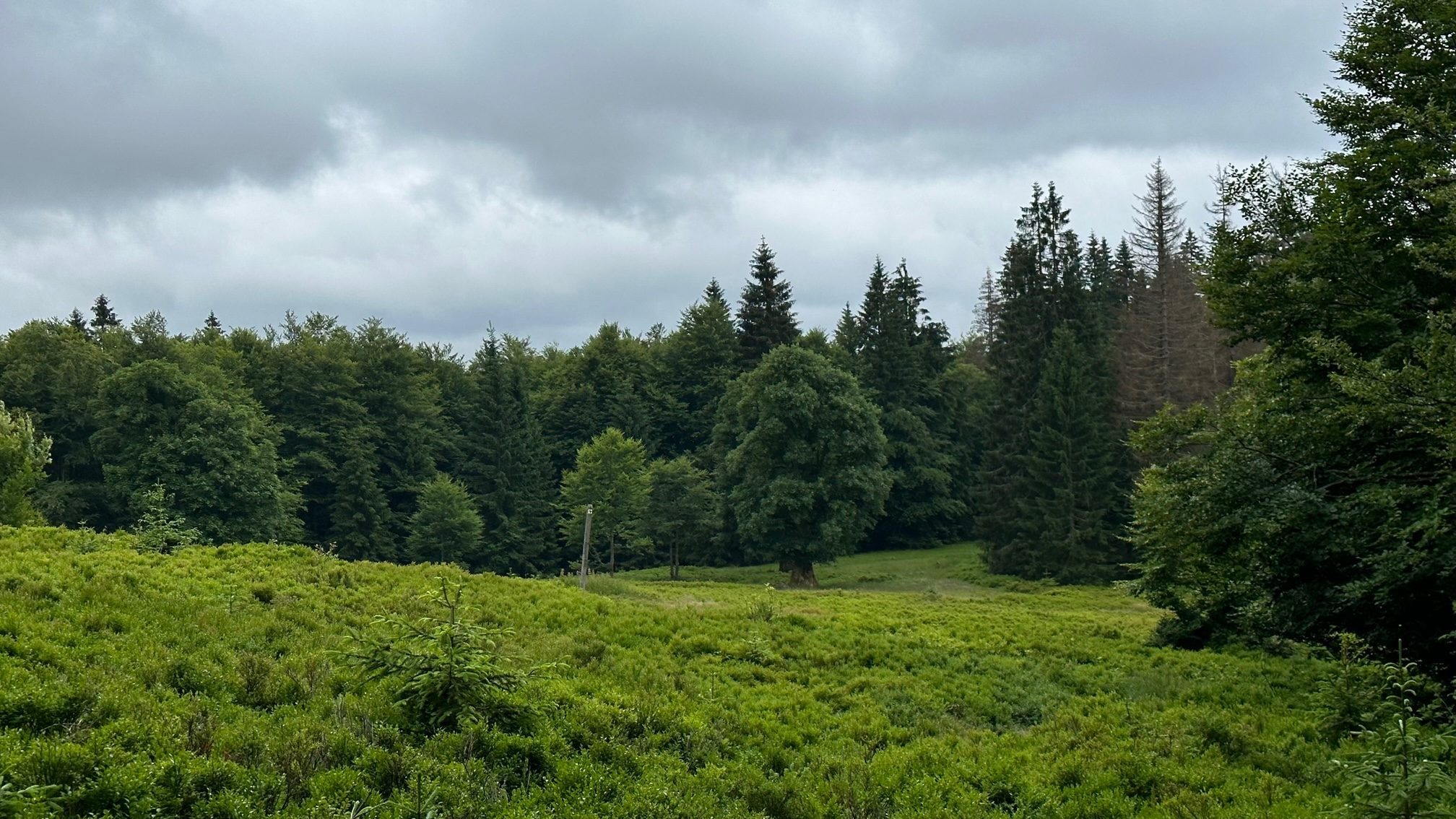 Lindbergschachten