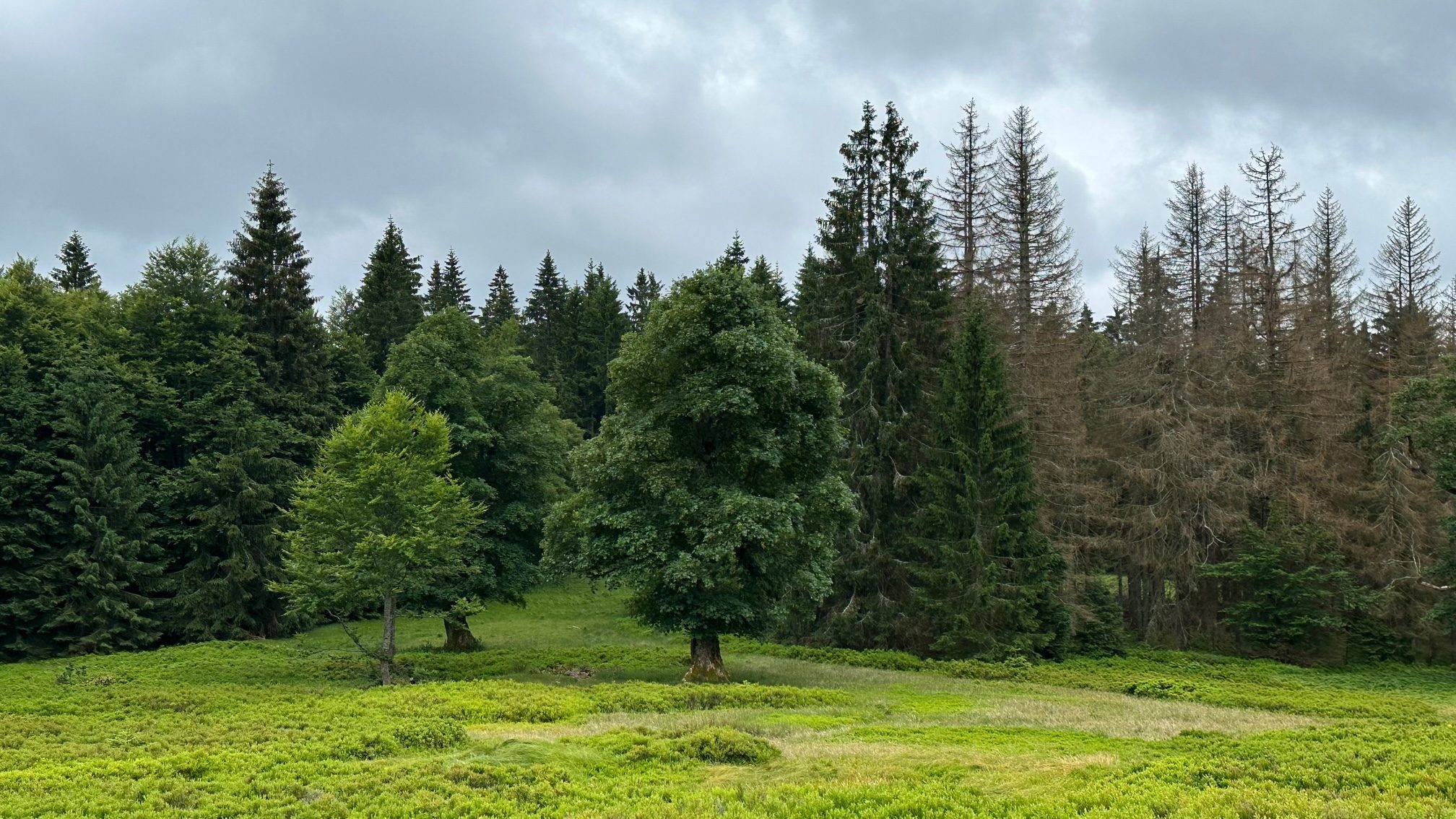 Lindbergschachten