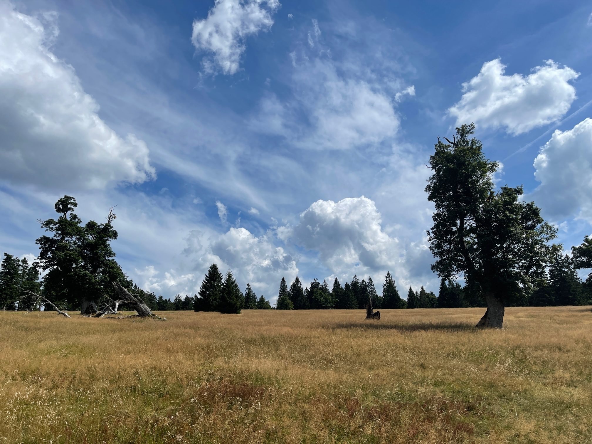 Almschachten