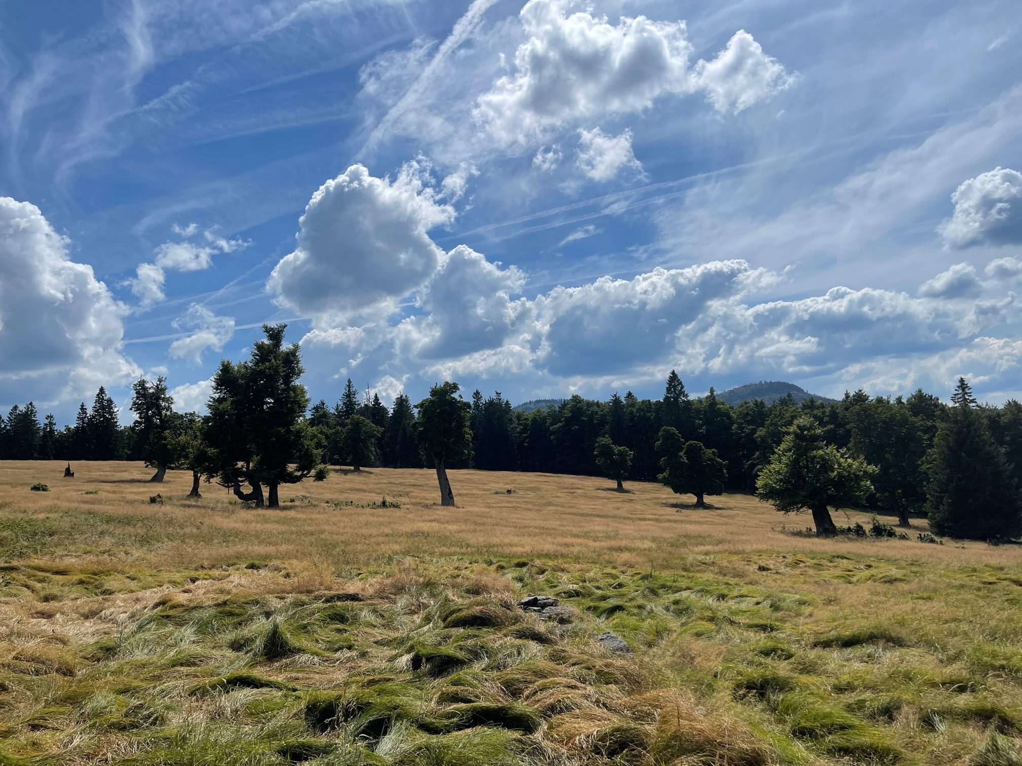 Almschachten