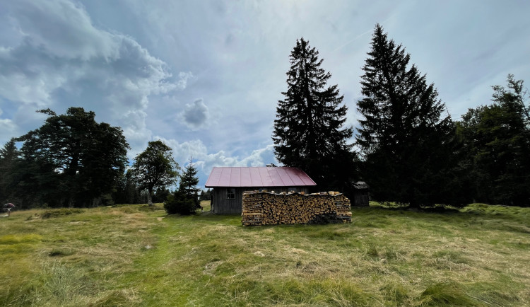 FOTOGALERIE: Bavorské pastviny