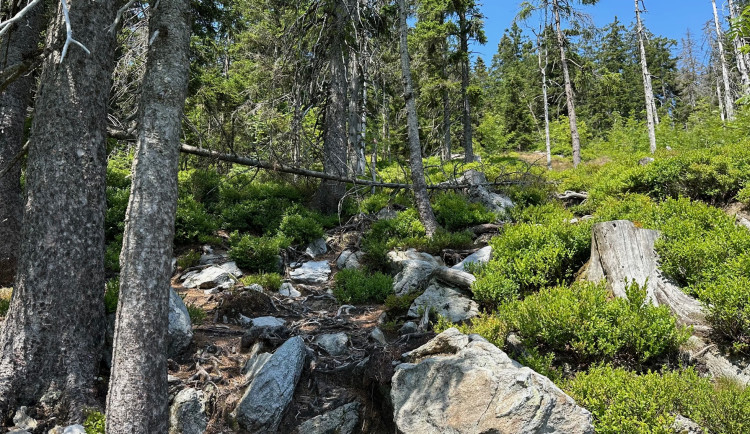FOTOGALERIE: Výstup na Svaroh