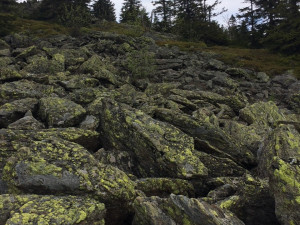 Kamenné pole pod vrcholkem Svarohu