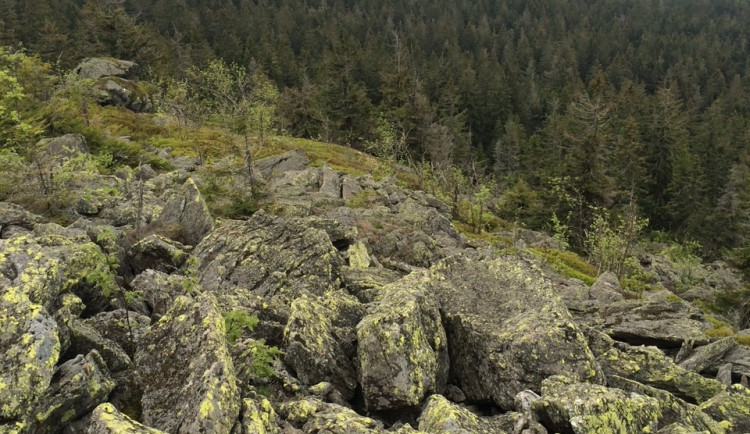 Kamenné pole pod vrcholkem Svarohu 