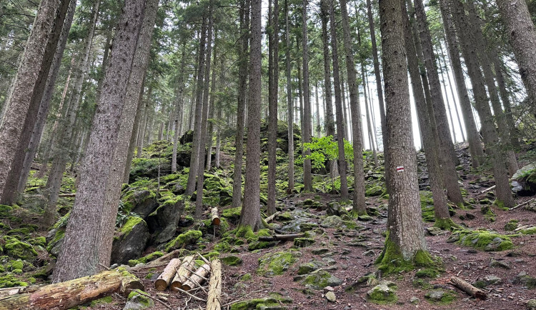 FOTOGALERIE: Výlet na Javorník, Sedlo a do Albrechtic