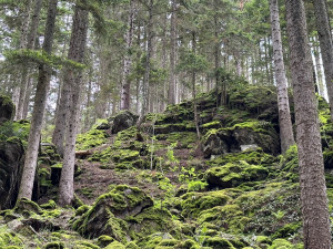Cesta ne Sedlo vede mezi tajemnými skalami