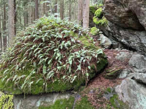 Cesta ne Sedlo vede mezi tajemnými skalami