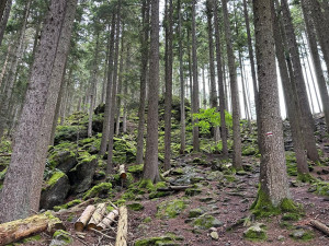 Cesta ne Sedlo vede mezi tajemnými skalami