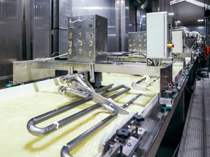 FOTOGALERIE: Mlékárna Klatovy oslavila 100 let od založení