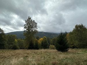 Podzim na Brčálníku