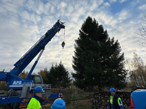 FOTOGALERIE: Vánoční strom pro Plzeň