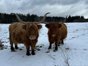 Zimní výlet na brdskou osmistovku Nad Maráskem
