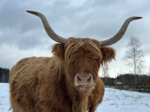 Zimní výlet na brdskou osmistovku Nad Maráskem