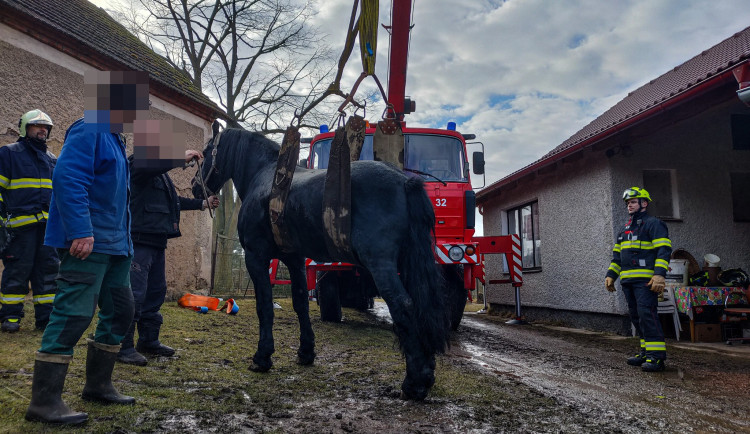 FOTOGALERIE: Hasiči pomáhali koni na nohy
