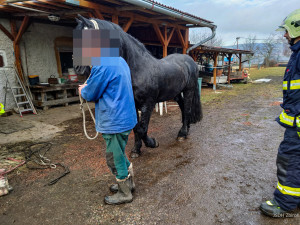 FOTOGALERIE: Hasiči pomáhali koni na nohy