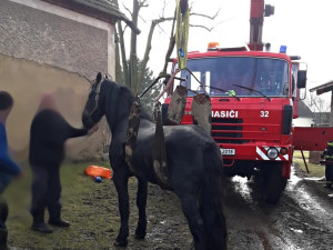 FOTOGALERIE: Hasiči pomáhali koni na nohy