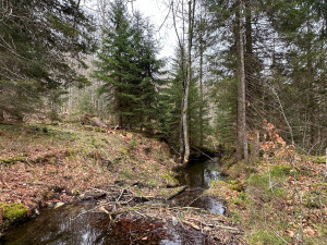 FOTOGALERIE: Výstup na Luzný