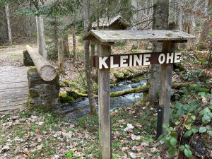 FOTOGALERIE: Výstup na Luzný