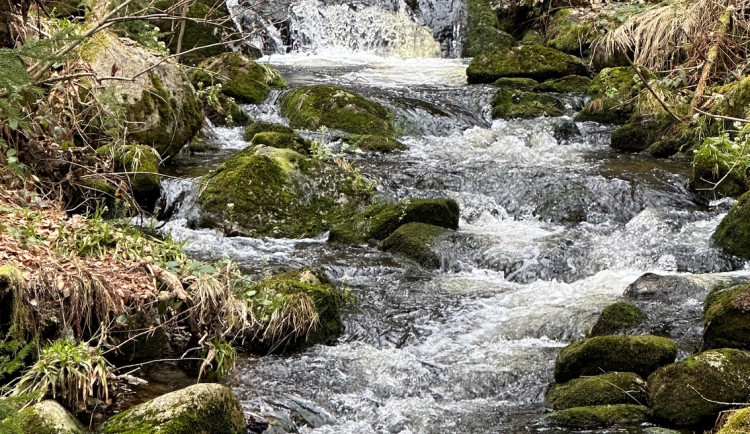 FOTOGALERIE: Výstup na Luzný