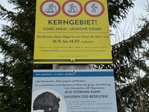 Na tajemnou cestu vedoucí k přechodu Modrý sloup se z německé strany podíváte jen od zákazové cedule. Je uzavřena z důvodu ochrany tetřeva až k přechodu v době od 16. 11. do 14. 7. Z české strany se k tomuto území ze stejného důvodu nedostanete celoročně