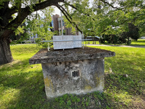 FOTOGALERIE: Sochy v ulicích 2024