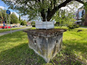 FOTOGALERIE: Sochy v ulicích 2024