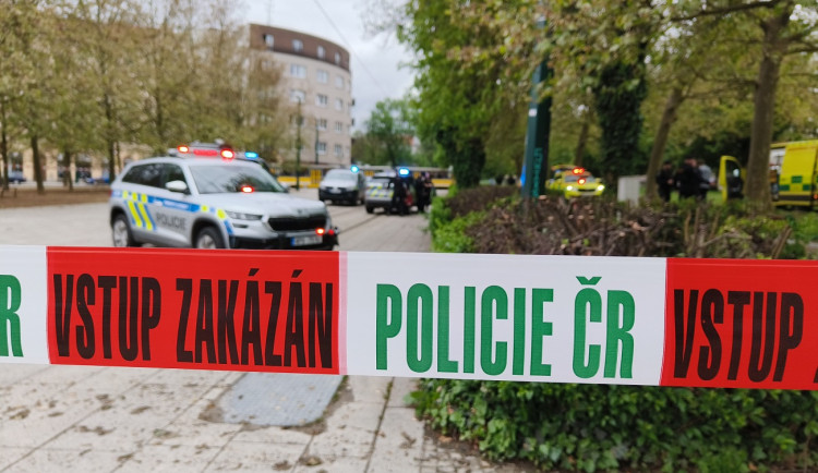 K napadení došlo bílého dne v centru Plzně, zdroj: Zuzana Duzbabová