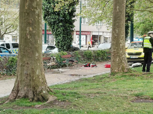 K napadení došlo bílého dne v centru Plzně, zdroj: Zuzana Duzbabová: Napadení v centru města