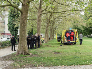 K napadení došlo bílého dne v centru Plzně, zdroj: Zuzana Duzbabová