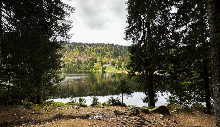 FOTOGALERIE: Malé Javorské jezero a Velký Javor