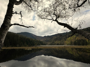 Pohled na Velký Javor