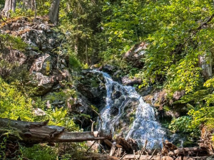 Naprosto nádherný vodopád uprostřed divokého pralesa Höllbachgspreng navštívíte těsně po překonání česko-německé hranice pod vrcholem hory Falkenstein