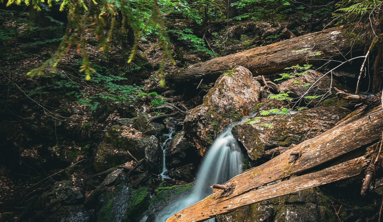 Naprosto nádherný vodopád uprostřed divokého pralesa Höllbachgspreng navštívíte těsně po překonání česko-německé hranice pod vrcholem hory Falkenstein