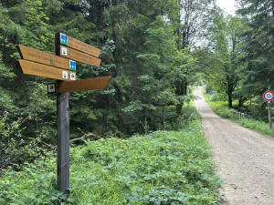 FOTOGALERIE: Výstup na Roklan, druhá nejvyšší hora Šumavy a Českého lesa
