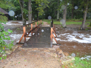 Dům přírody Brd v sobotu dopoledne, foto: Dům přírody Brd
