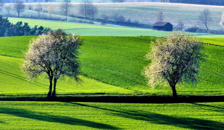 FOTO: 7. ročník Fotosoutěže Český les