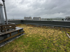 FOTOGALERIE: Zelená střecha na paneláku v Plzni