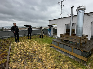 FOTOGALERIE: Zelená střecha na paneláku v Plzni