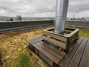 FOTOGALERIE: Zelená střecha na paneláku v Plzni