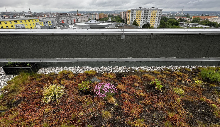FOTOGALERIE: Zelená střecha na paneláku v Plzni