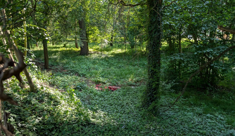 Papírenský park čeká na revitalizaci
