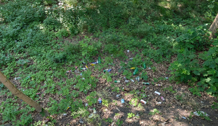 Papírenský park čeká na revitalizaci