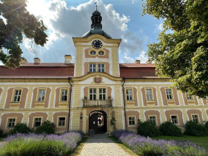 Na zámku v Nebílovech rozkvetly slavné růže