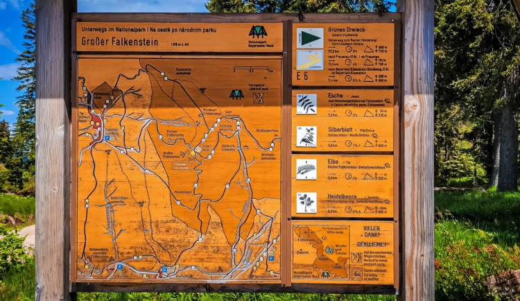 Vysokohorská pastvina v Bavorském lese