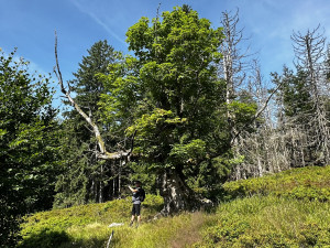 Objevte malý šumavský Yellowstone