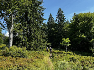 Objevte malý šumavský Yellowstone
