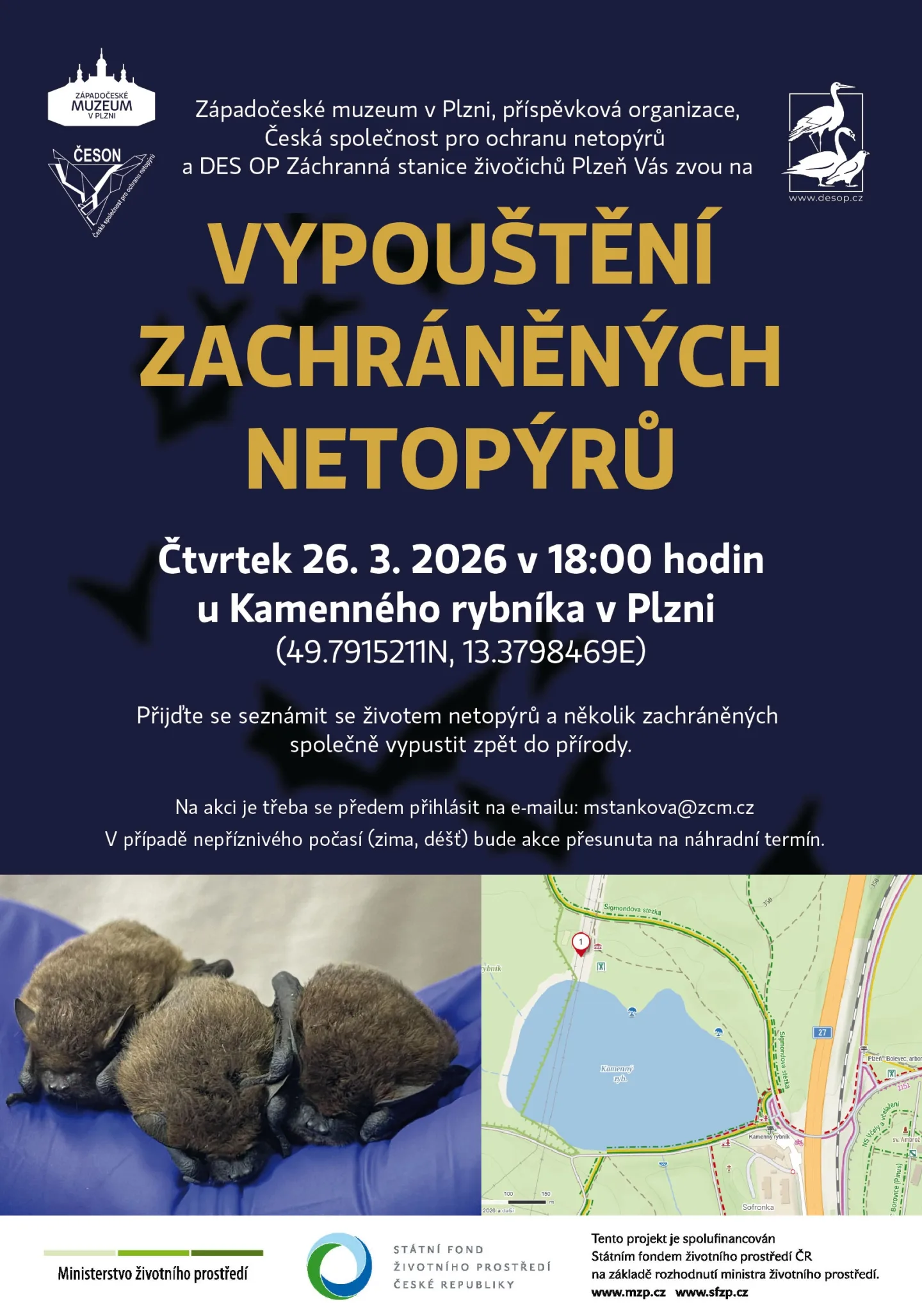 Vypouštění zachráněných netopýrů