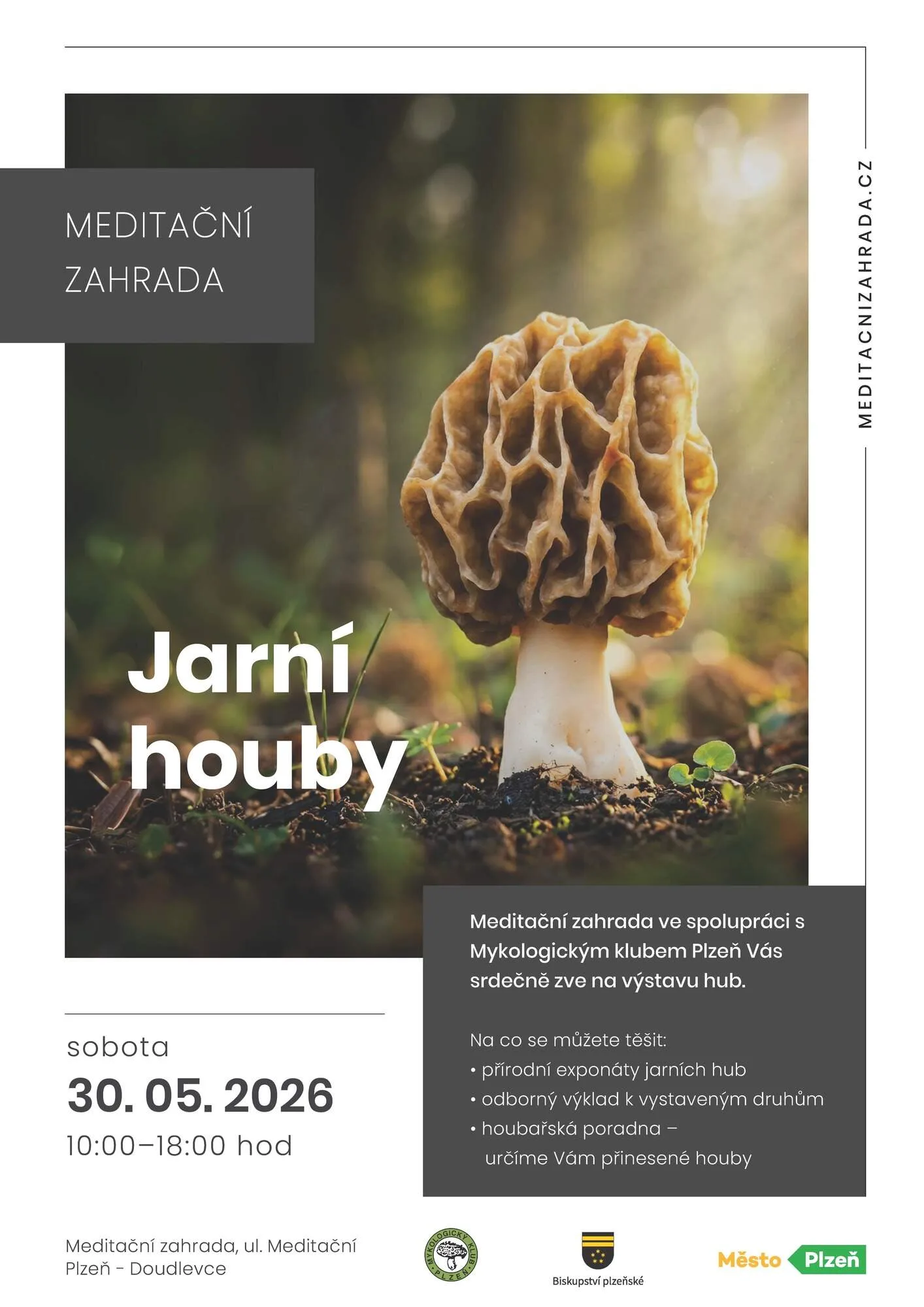 Jarní houby v Meditační zahradě